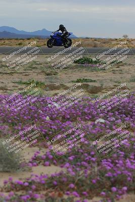 media/Jan-14-2023-SoCal Trackdays (Sat) [[497694156f]]/Turn 14 Exit Bloomig (145pm)/